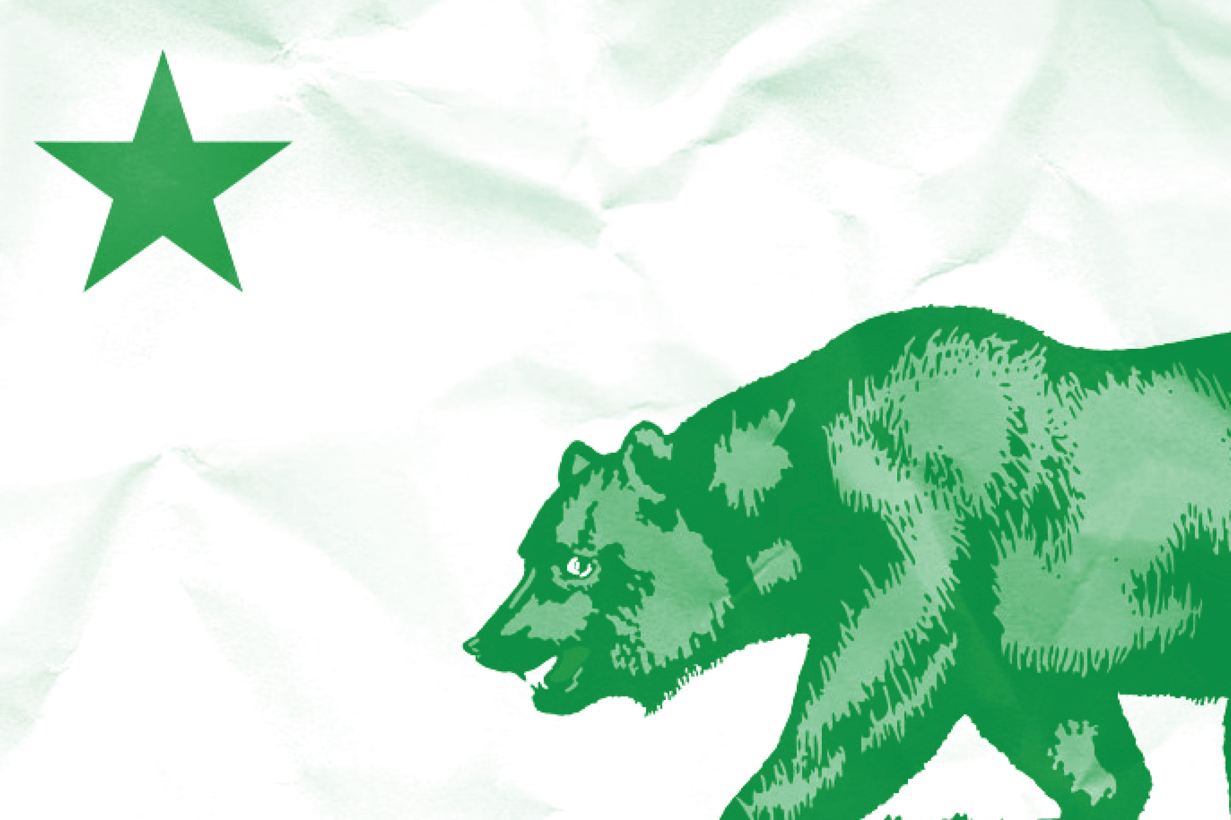 California flag graphic